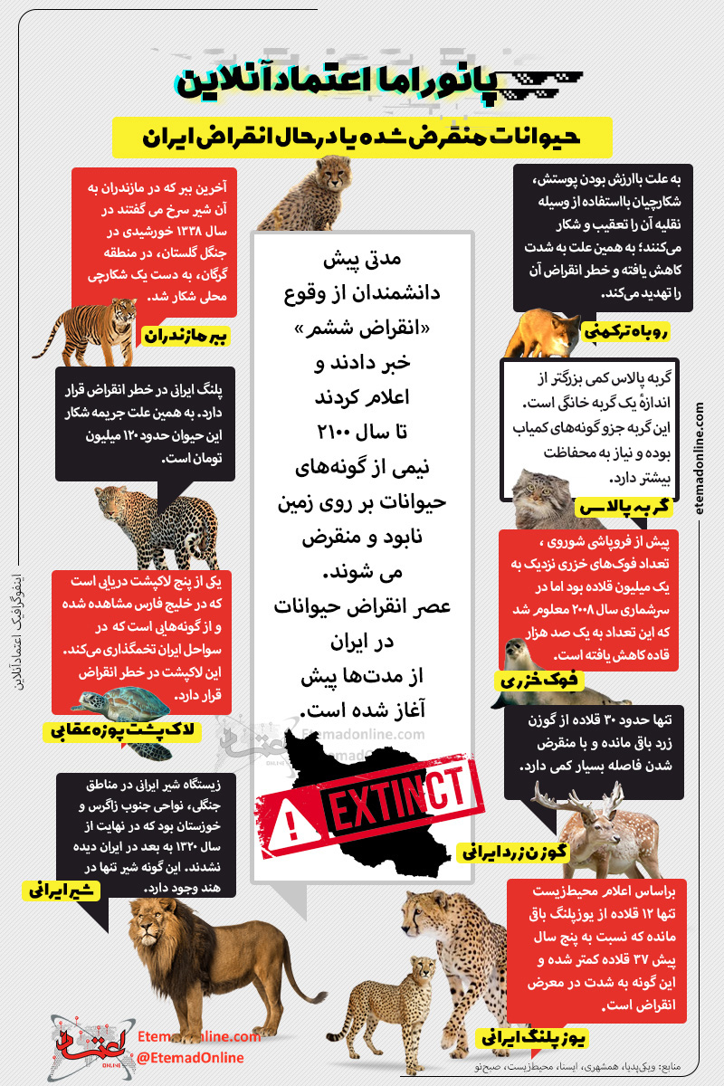 کدام حیوانات ایرانی در خطر انقراض‌اند؟